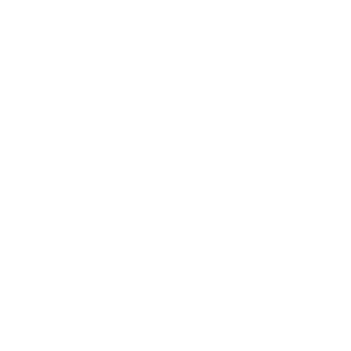 Certification Icon